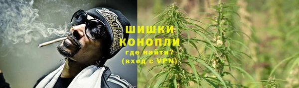 крисы Белоозёрский