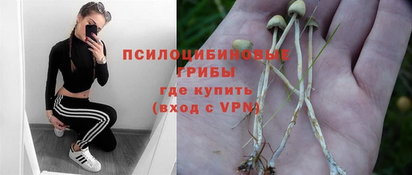 тгк Липки