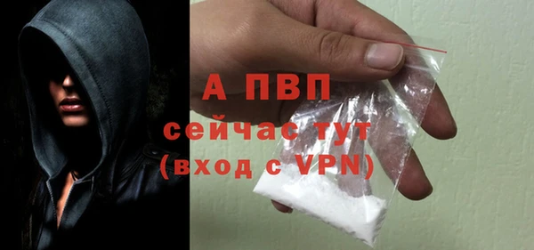 крисы Белоозёрский