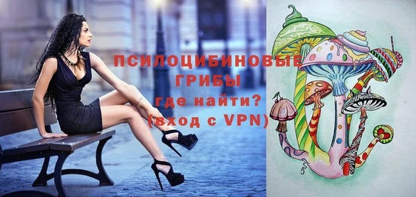 тгк Липки