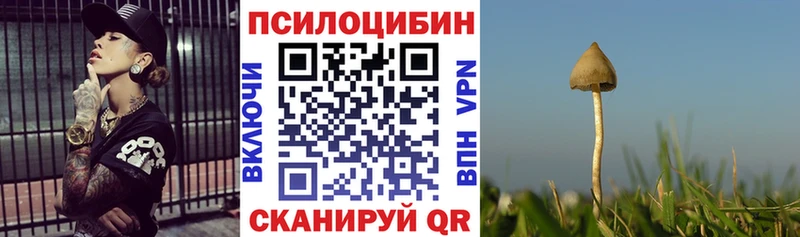 купить наркотики сайты  Каспийск  Псилоцибиновые грибы Psilocybine cubensis 